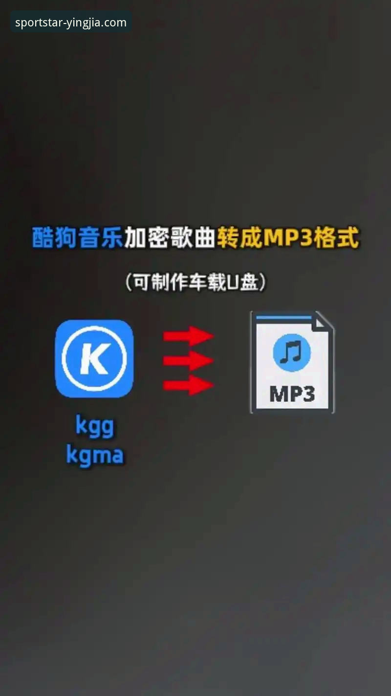 盈嘉体育APP评测与安装操作教程：从下载到使用的完整技术指南